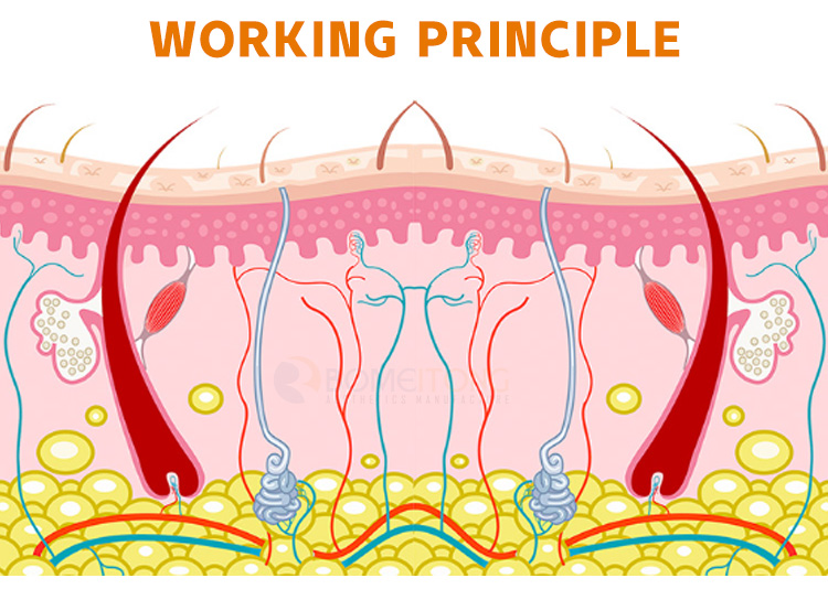 Lipolaser fat reduction 6 en 1 green laser light pads machine 532nm 635nm wavelength Buy lipo