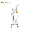 IPL beauty equipment Two handles clinic salon professional painless 2020 korea beauty dpl hair removal laser