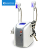 Freeze tummy tuck cryolipolysis machine cavitation rf lipo laser