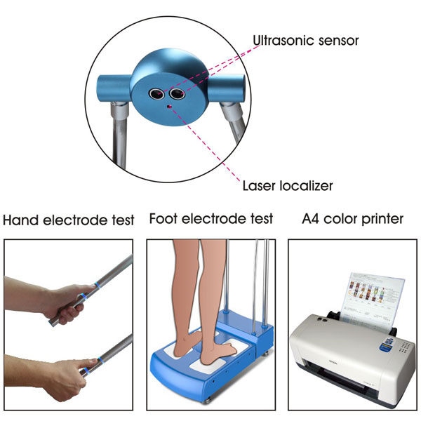 8 Point Body Composition Analyzer with 3 Frequencies