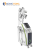 5 in One Cryolipolysis Fat Freezing Machine for Sale
