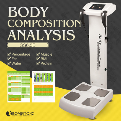 body type analysis calculator