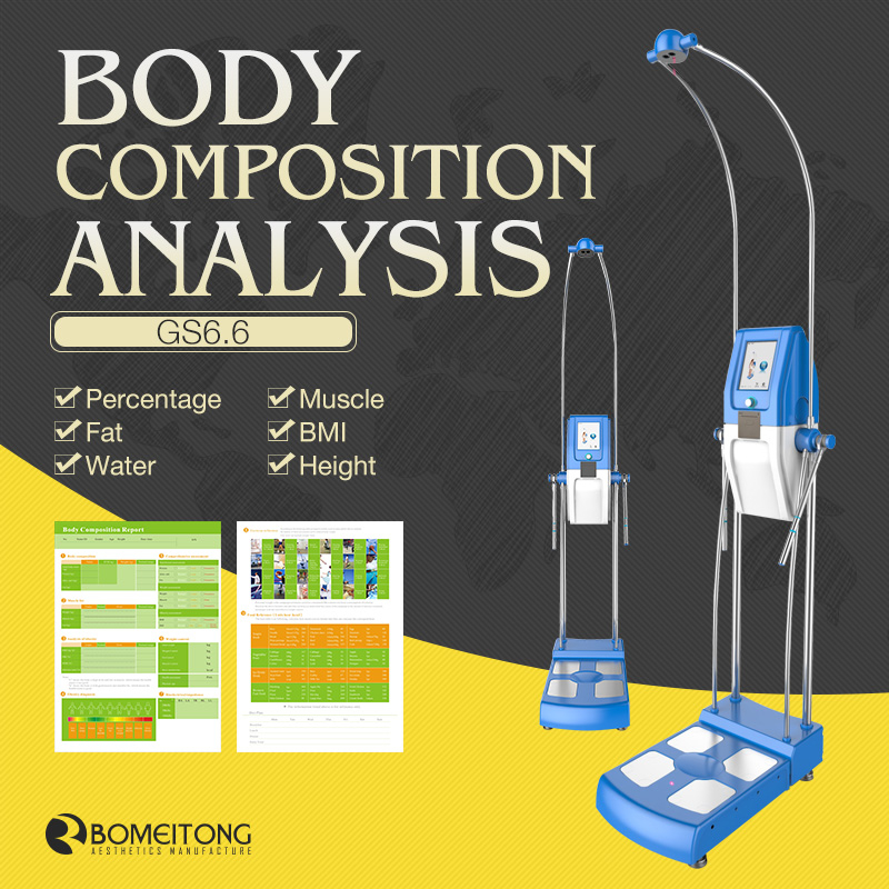 Professional Body Composition Analyzer with Printer