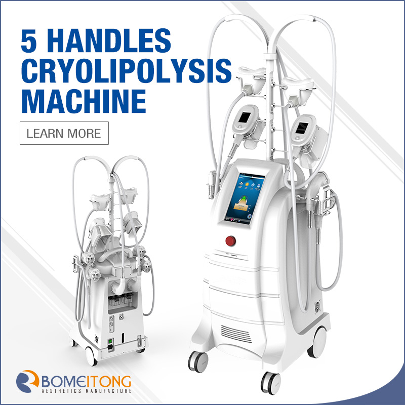 Cryolipolysis Freezing Fat Cell Slimming Machine Price